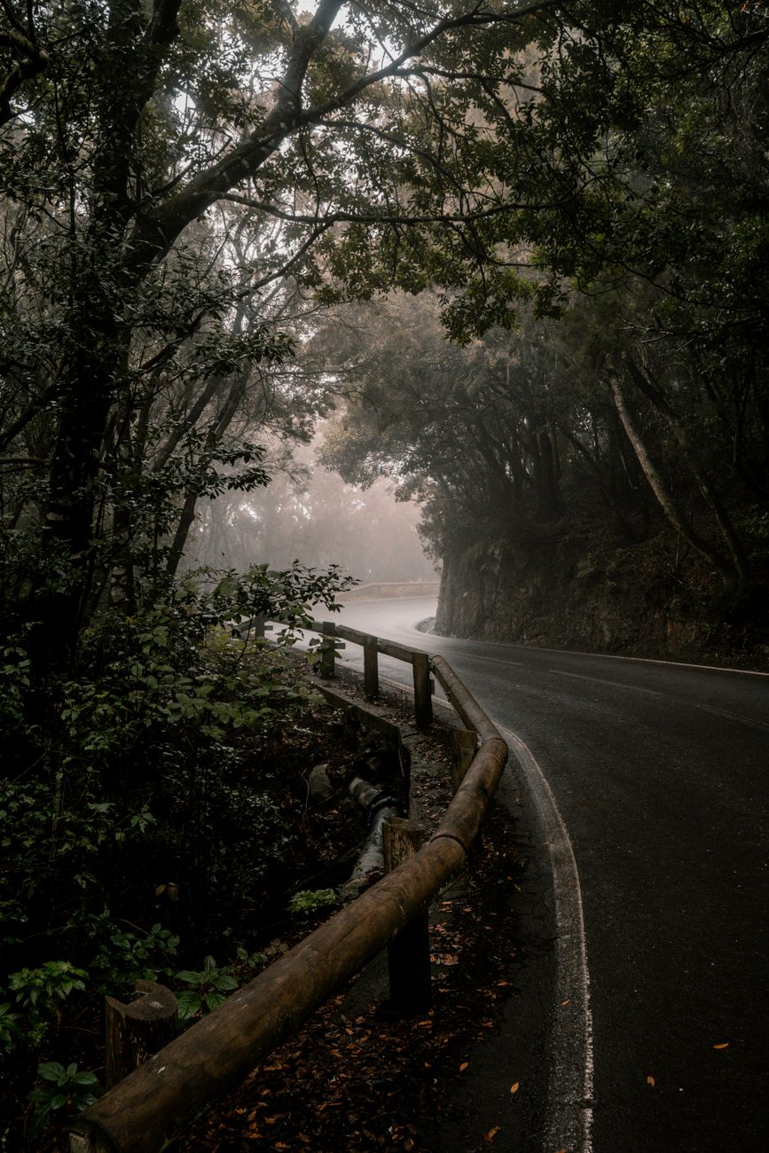 Anaga Coastal & Rainforest Ride
