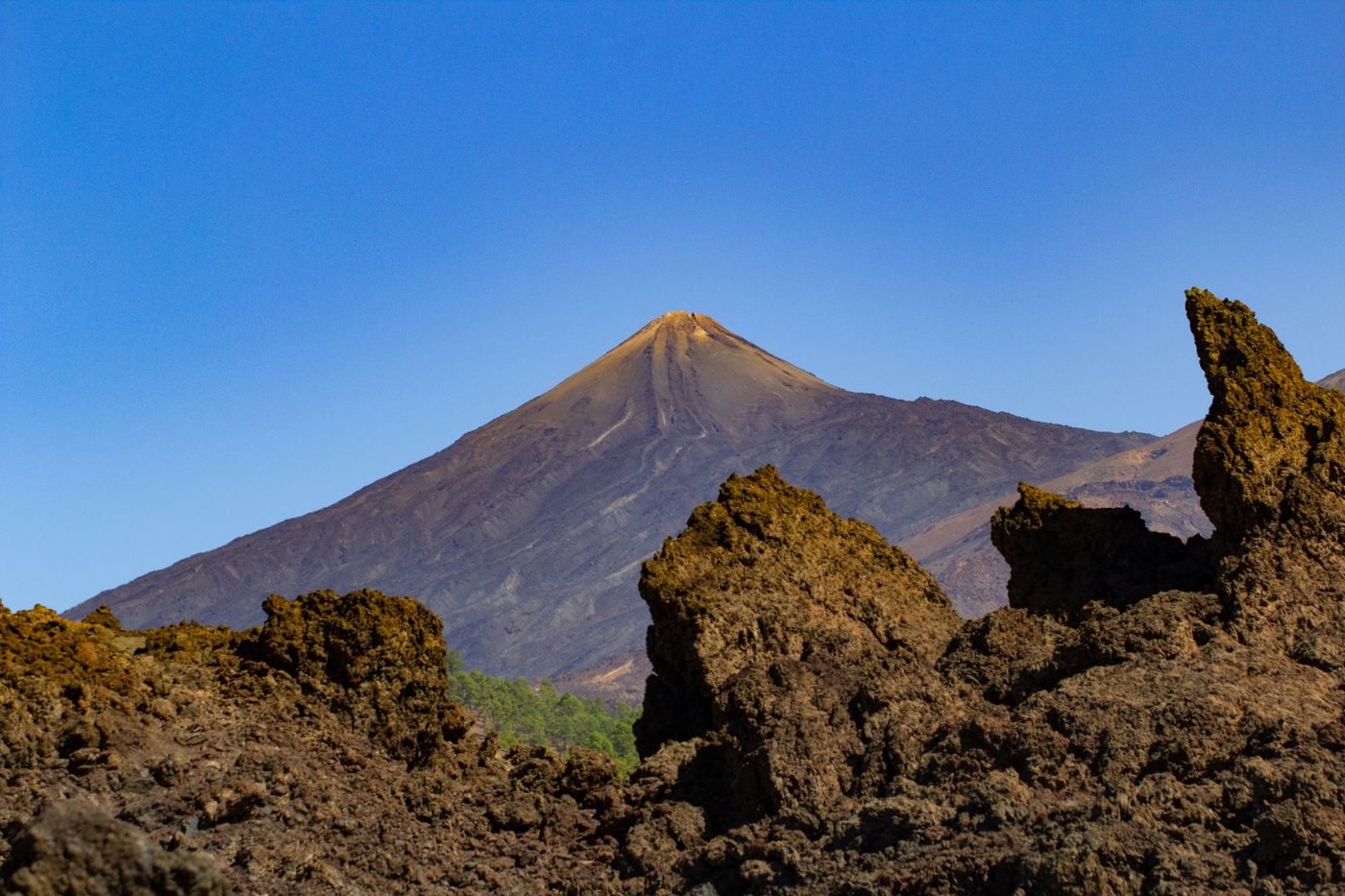 Mount Teide Volcano Experience